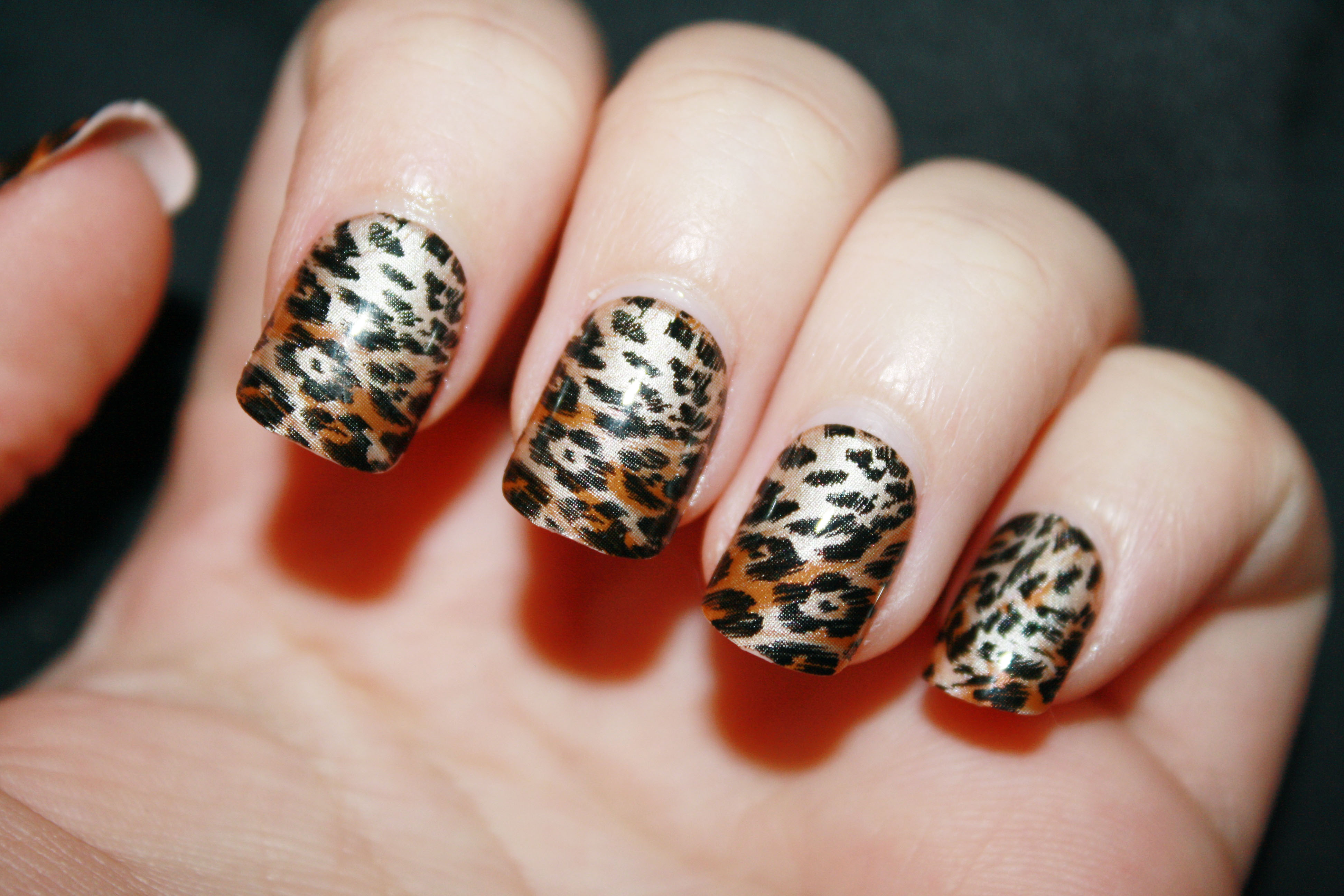 Best Animal Print Nail Art Designs For You Yabibo