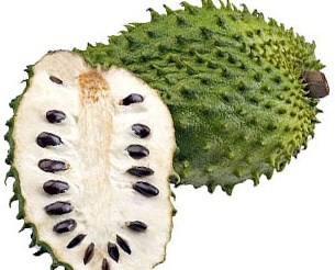 Effective health benefits of Guanabana Fruit - Yabibo