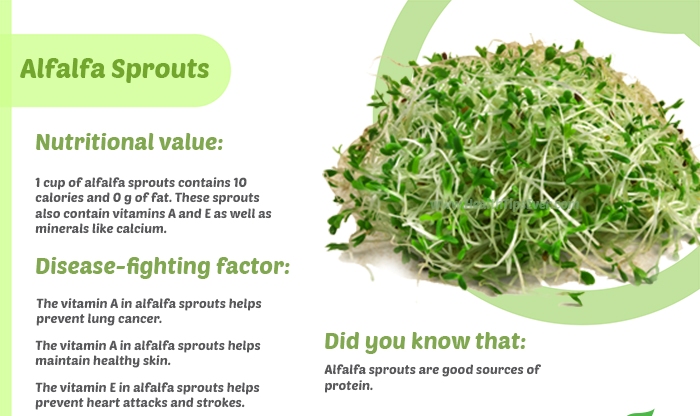 Unbelievable Health Benefits Of Alfalfa Sprouts,Alfalfa Sprouts
