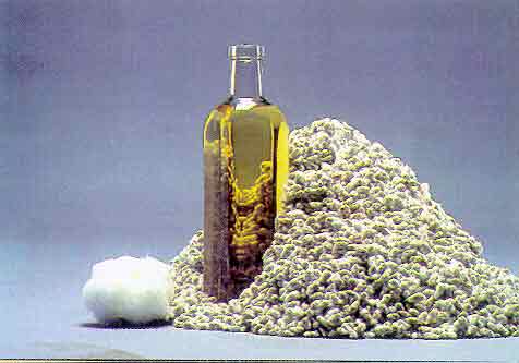 Health Benefits of Cotton Seed Oil