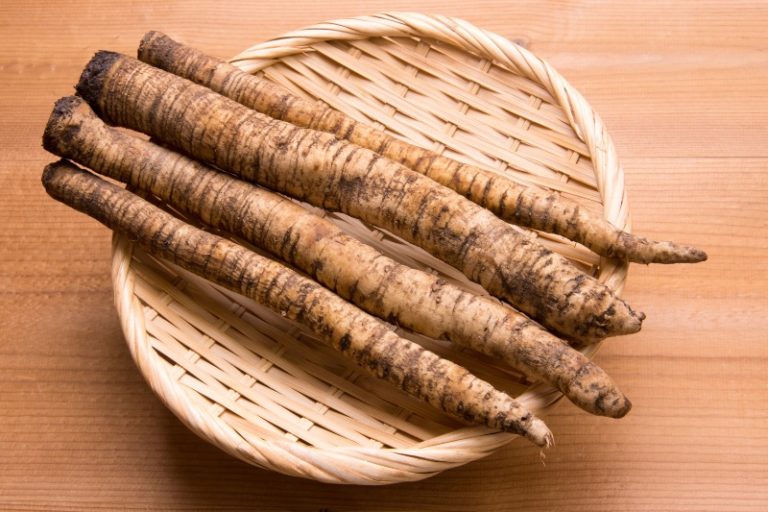 12 Surprising Benefits of Burdock Oil