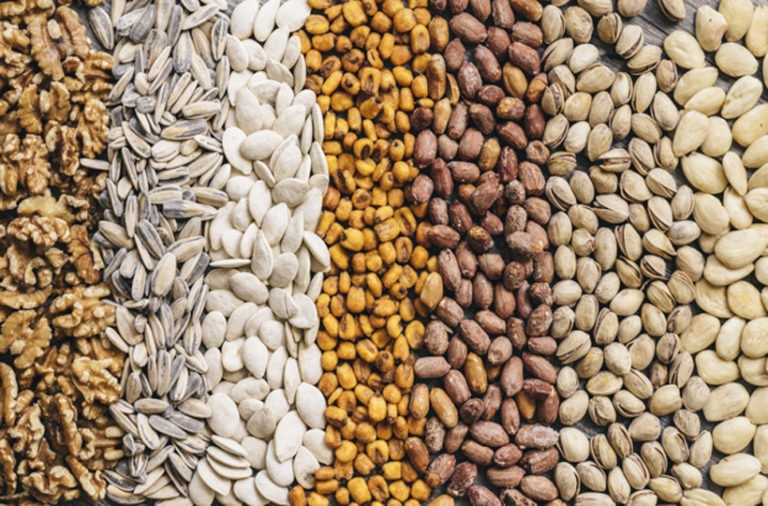 Types of Seed: 4 Important Types