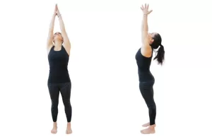 Standing Yoga Asanas Name for Beginners