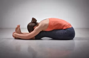 Sitting Yoga Positions with Names for Beginners 